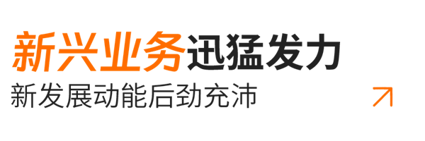小標題03-新興業務.png